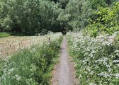 20250510_145647__kopie__nieuwsbrief