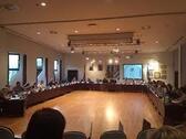 Halle_beeld_gemeenteraad__nieuwsbrief