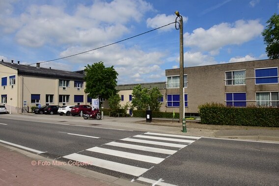 Editie_galmaarden_zebra_de_zwaluw_2__kopie_