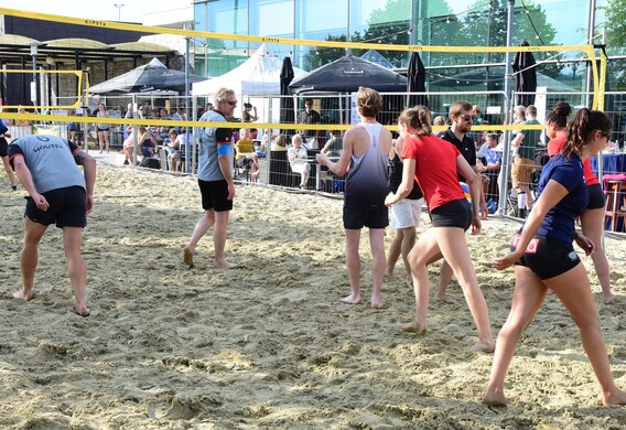 Gooik_zand