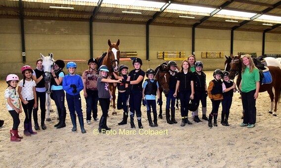 Editie_galmaarden_hippisch_paarden_3__kopie_