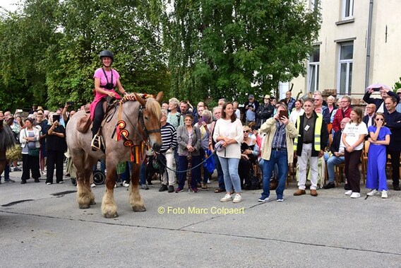 Editie_galmaarden_trekpaarden_2__kopie_