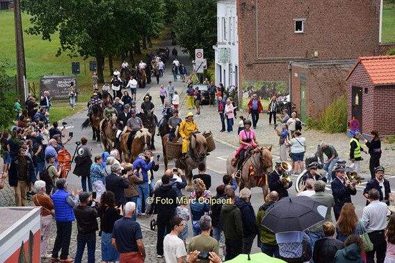 Editie_galmaarden_trekpaarden_3__kopie_