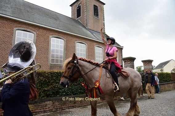 Editie_galmaarden_trekpaarden_3a__kopie_