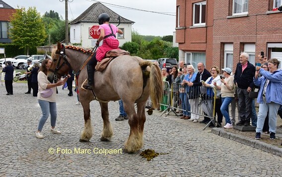 Editie_galmaarden_trekpaarden_4b__kopie_