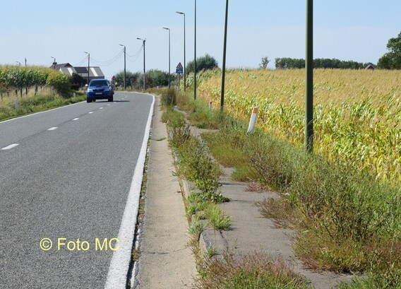 Editie_gooik_voetpad_langestraat_2__kopie_