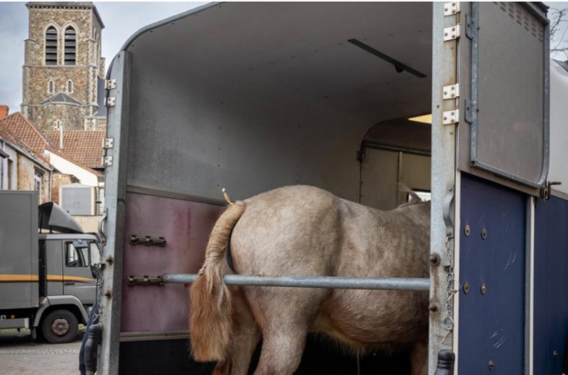 Scherm__afbeelding_2025-10-12_om_14