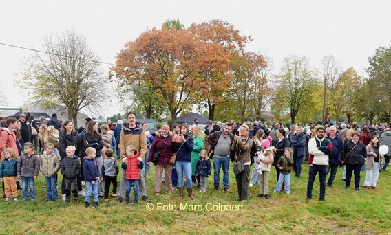 Editie_galmaarden_paarden_6__kopie_