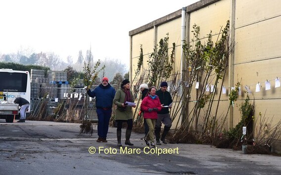 Editie_galmaarden_de_mark_3__kopie_