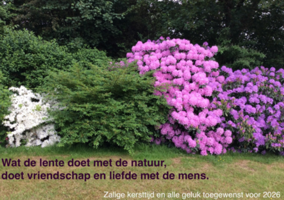 Scherm__afbeelding_2025-12-19_om_19