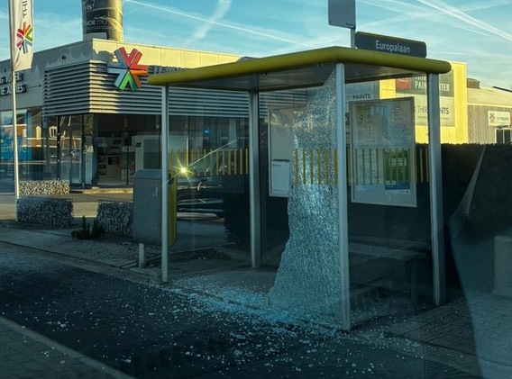 Whatsapp_image_2025-12-27_at_11