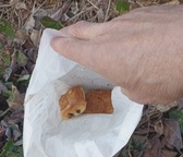 1000010485_nieuwsbrief