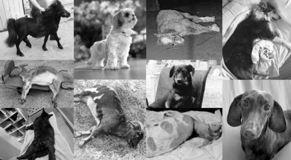 Scherm__afbeelding_2026-01-06_om_20