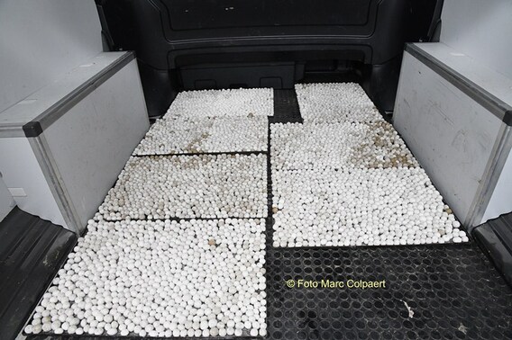 Editie_galmaarden_pauwel_rollen_broodjes_7__kopie_