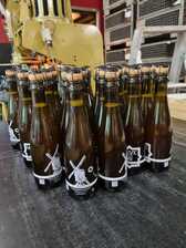 El_ambiguo_2025__1__nieuwsbrief