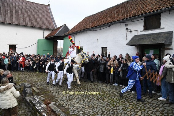 Editie_galmaarden_pauwel_19__kopie_