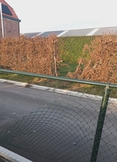 1000011004_nieuwsbrief