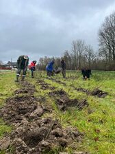 Aanplant_hunselbeek_1_nieuwsbrief