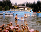 Scherm__afbeelding_2026-02-17_om_11