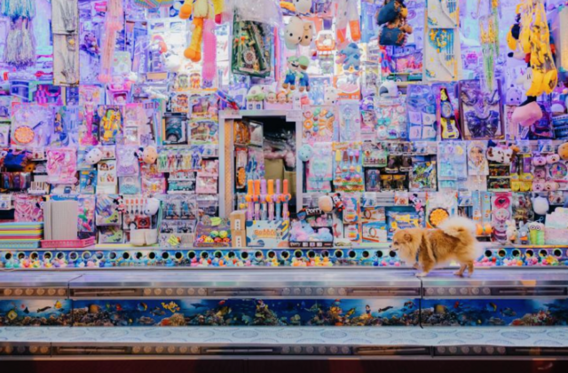 Scherm__afbeelding_2026-03-01_om_10