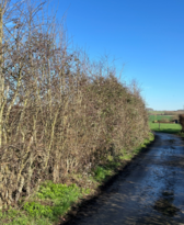 Image005_nieuwsbrief