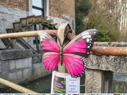 Schermafbeelding_2026-03-08_234836