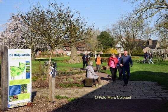 Editie_galmaarden_wandelaars_baljuwtochten_6__kopie_