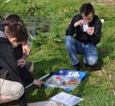 Moord_bijgeknipt_nieuwsbrief