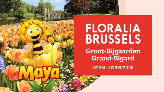 707143ce-c232-cd2c-9680-ba80317ca584