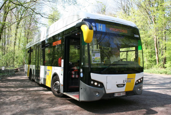 Lijn_in_hallerbos_hyacinten_
