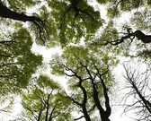 A_atentoon_neigem_2_nieuwsbrief