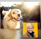 Foto_persartikel_loslopende_honden_nieuwsbrief