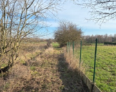 Schermafbeelding_2026-04-02_094247_nieuwsbrief