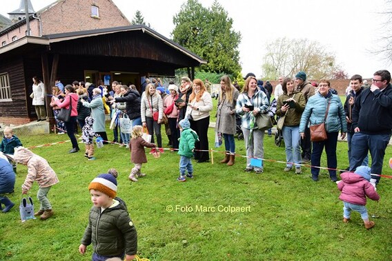 Editie_herne_paashaas_8__kopie_