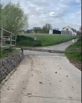 Img_8305_nieuwsbrief