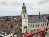 Basiliek__nieuwsbrief