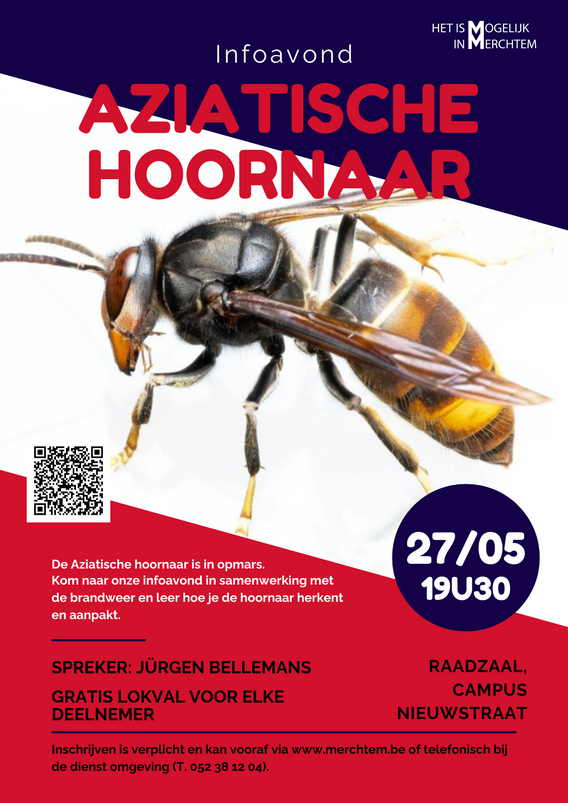 Infoavond_aziatische_hoornaar__1_