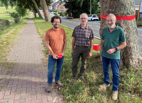 A_a_alwin_loeckx__lode_dehantschutter_en_luc_luyckx_van_groen_pajottegem2