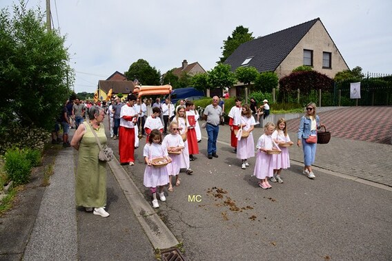 Editie_gooik_paardenprocessie_11__kopie_