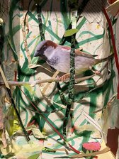 Img_6323_nieuwsbrief