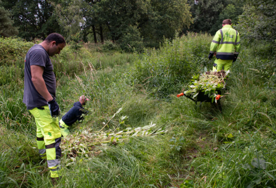 Scherm__afbeelding_2026-06-23_om_20
