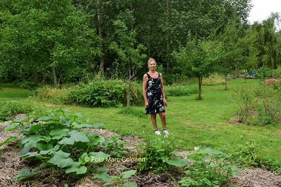 Editie_galmaarden_open_tuin_bruinsbroek_3__kopie_