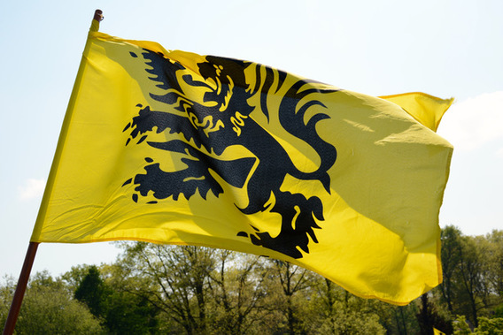 Vlag_vlaamse_leeuw_487463549