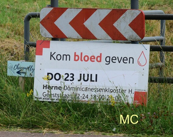 Editie_herne_bloed__kopie_