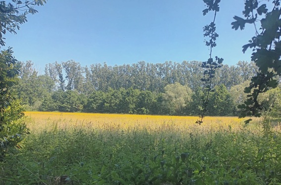 Natuur