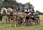 Dsc_3777_01_nieuwsbrief