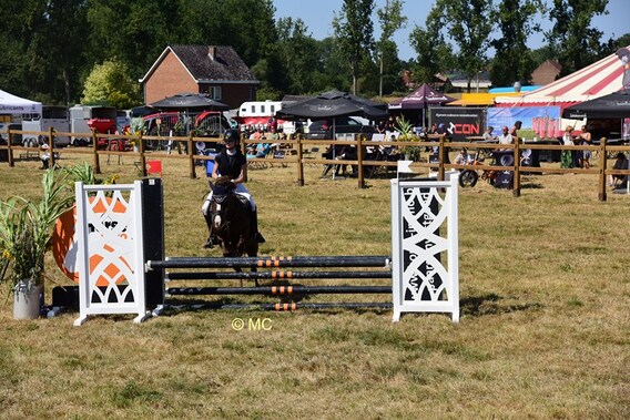 Editie_galmaarden_paarden_4__kopie_