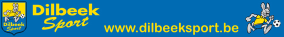 Banner_20dilbeek_20sport