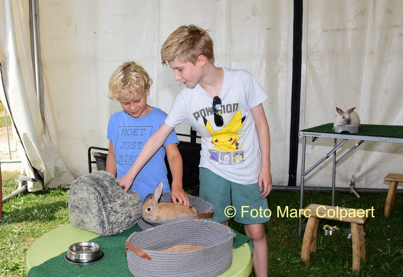 Oogstfeesten