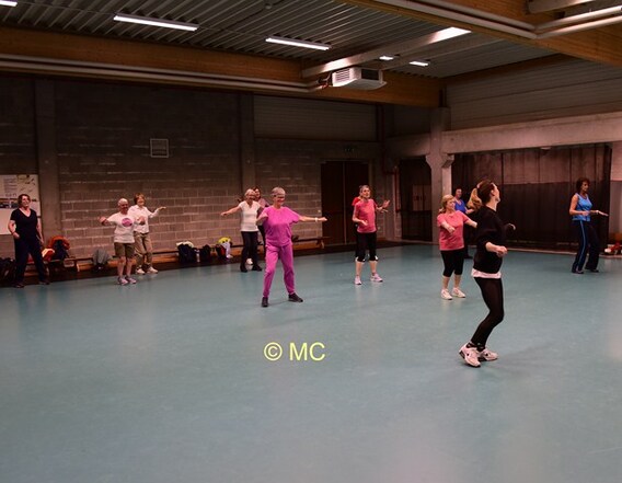 Sportdag voor senioren. - Foto Marc Colpaert